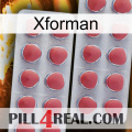 Xforman 19
